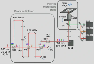 **TSUNAMI Microscope:** Schematic of the two-photon 3D tracking microscope combining nonlinear and multiplexed illumination for localization ([Perillo, 2015](/publication/perillo-2015/)).