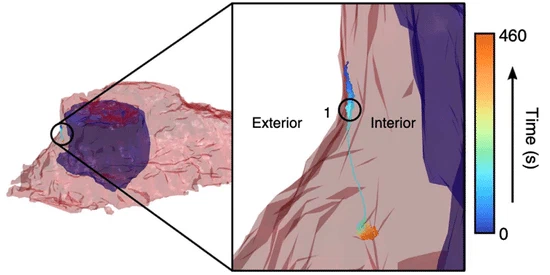 3D Single Particle Tracking