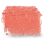 Mouse Blood Vessel AR Models