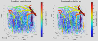 **Reconstruction of 3D blood flow:** Volumetric illustration of ground truth and reconstructed vascular blood flow in the mouse cortex ([Jafari, 2022](/publication/jafari-2022/)).