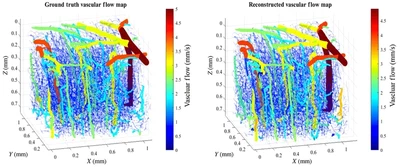 **Reconstruction of 3D blood flow:** Volumetric illustration of ground truth and reconstructed vascular blood flow in the mouse cortex ([Jafari, 2022](/publication/jafari-2022/)).