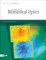 Laser speckle contrast imaging of blood flow in rat retinas using an endoscope