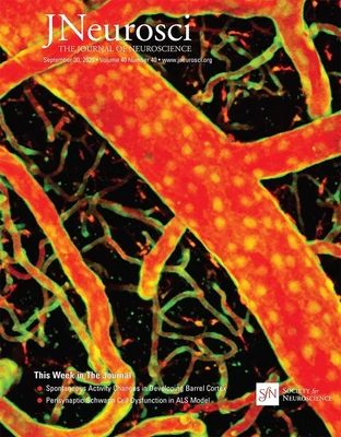 Featured on cover of *Journal of Neuroscience*